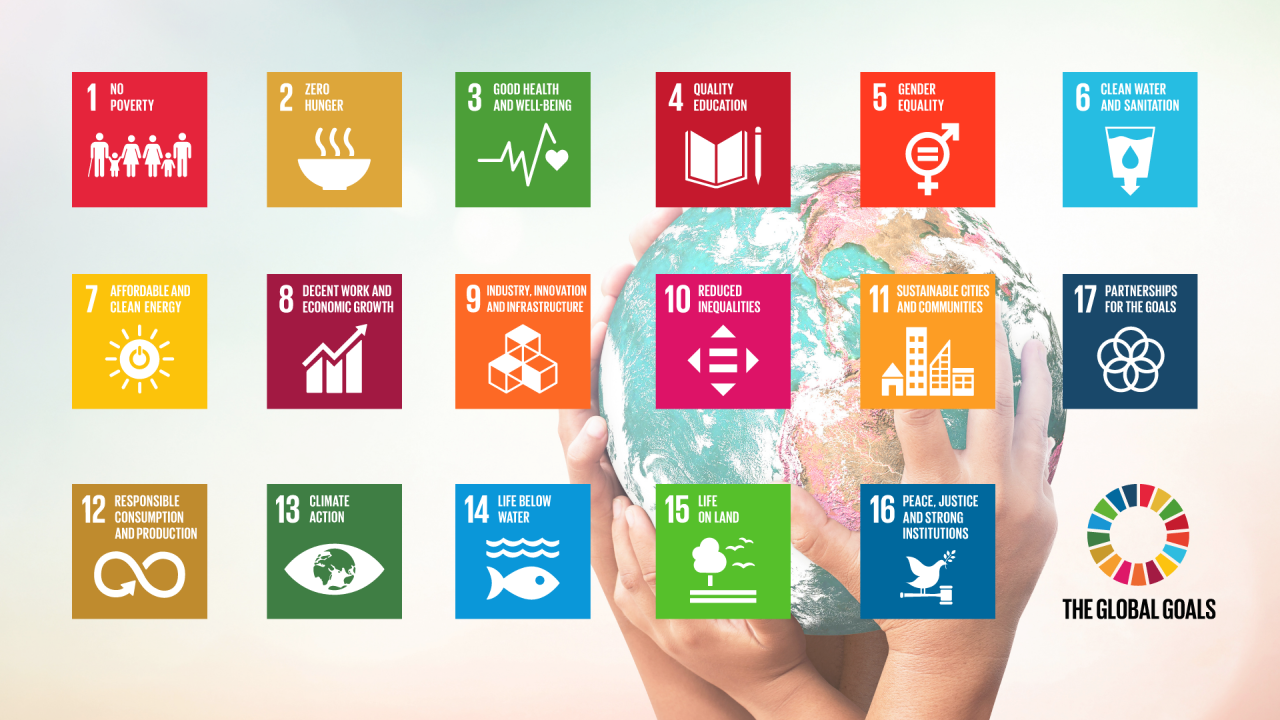 Gli obiettivi di sviluppo sostenibile					