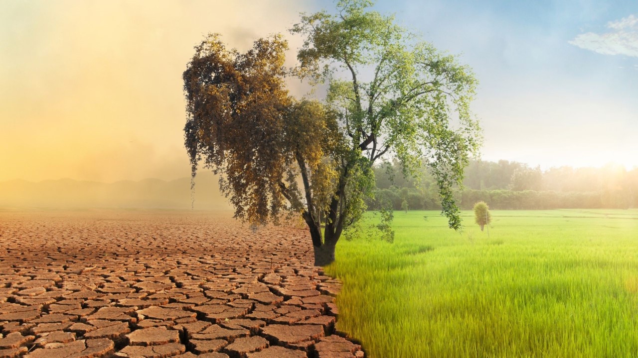 La nuova certificazione UNI Ambiente Protetto					